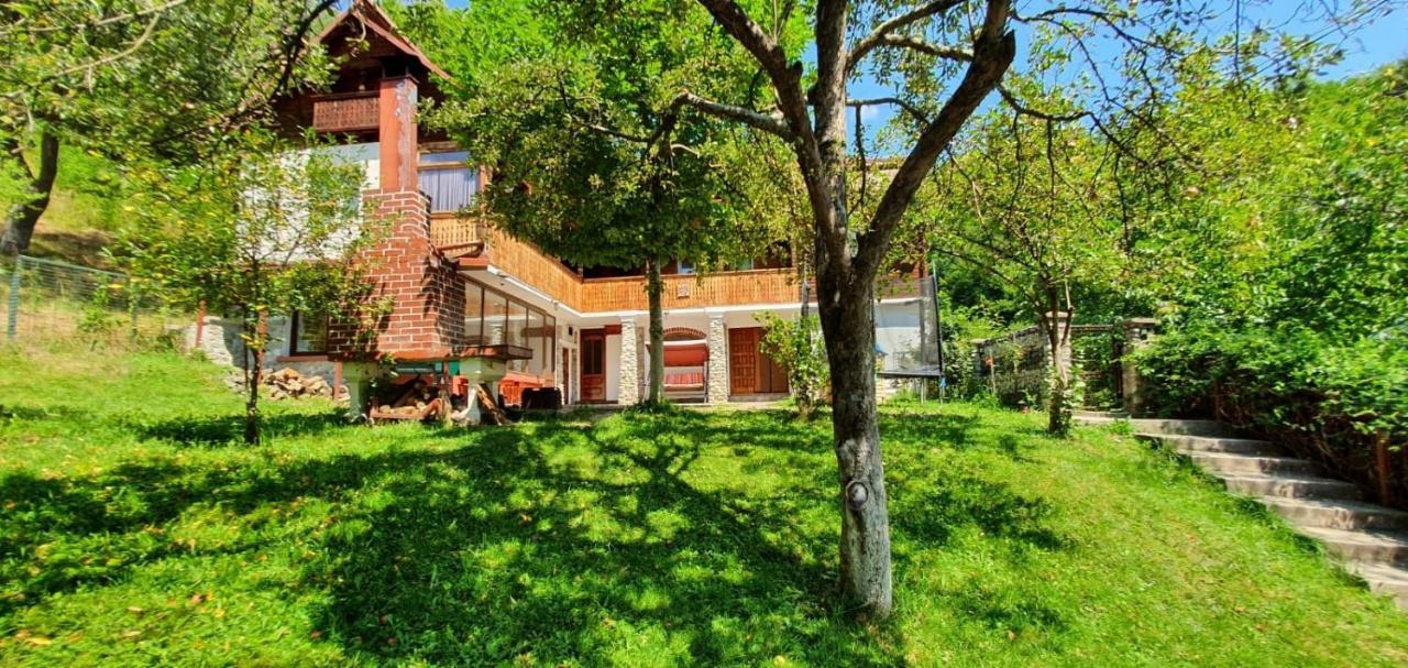 Casa Colt De Rai Villa Brezoi Eksteriør billede