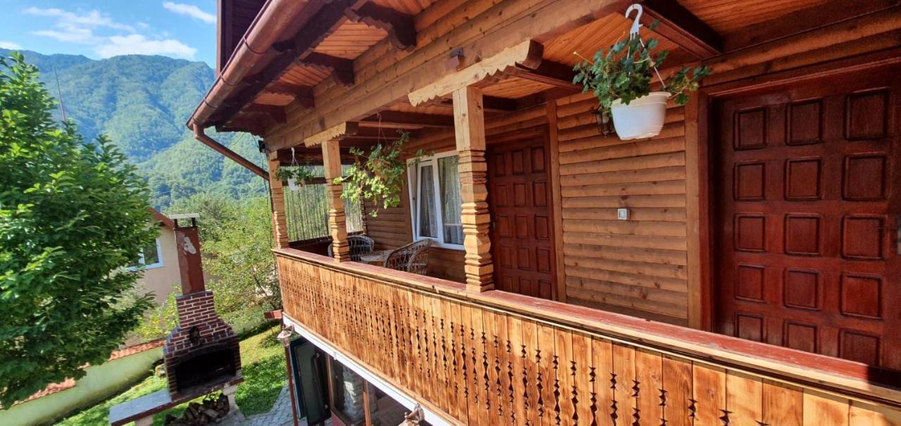 Casa Colt De Rai Villa Brezoi Eksteriør billede
