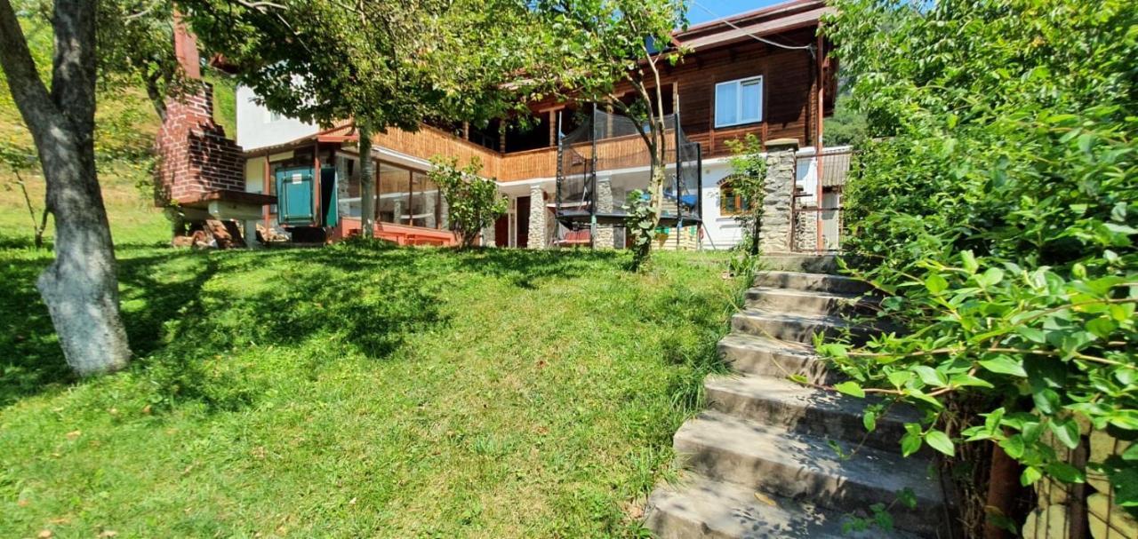 Casa Colt De Rai Villa Brezoi Eksteriør billede