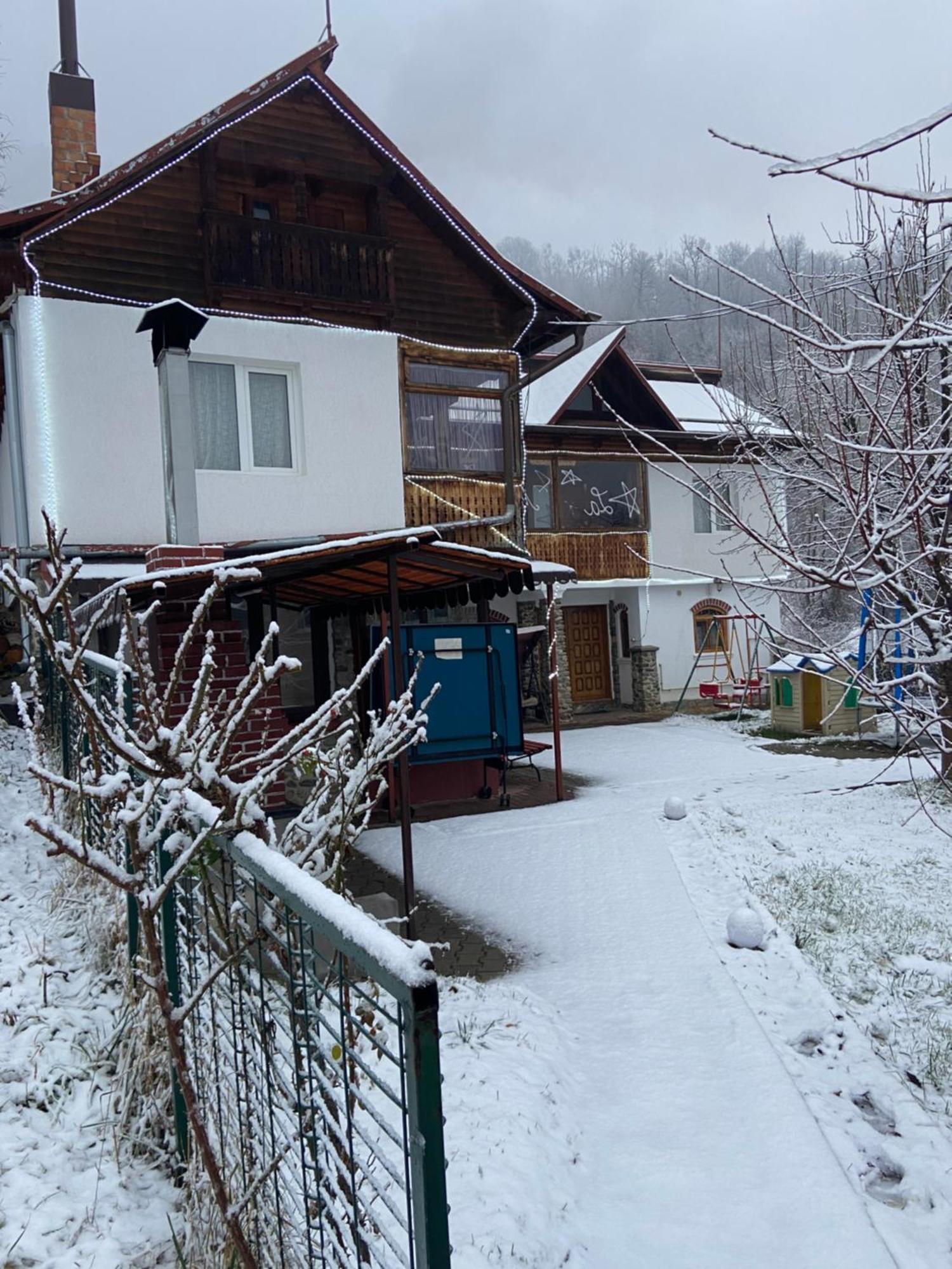Casa Colt De Rai Villa Brezoi Eksteriør billede