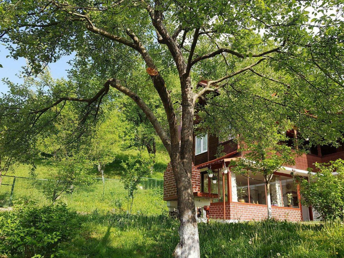 Casa Colt De Rai Villa Brezoi Eksteriør billede