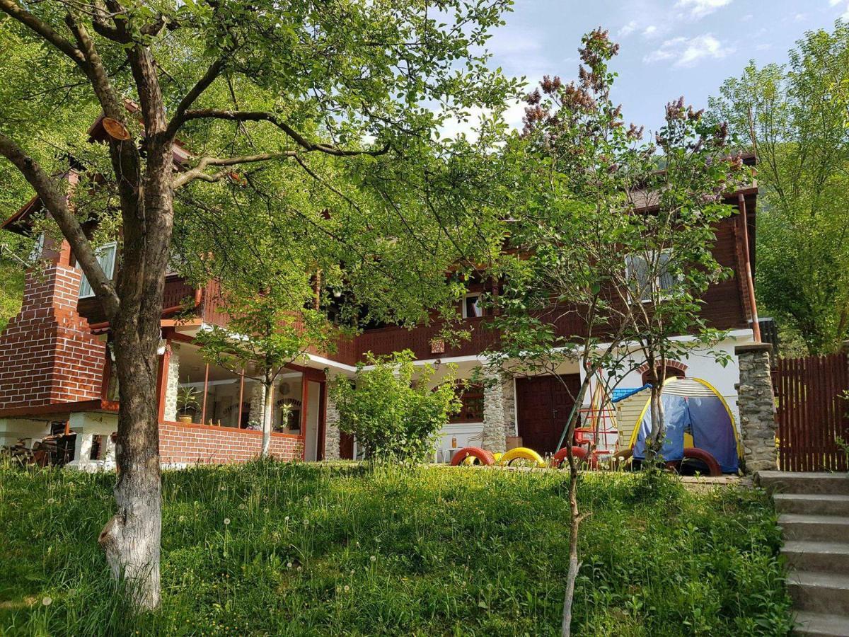 Casa Colt De Rai Villa Brezoi Eksteriør billede